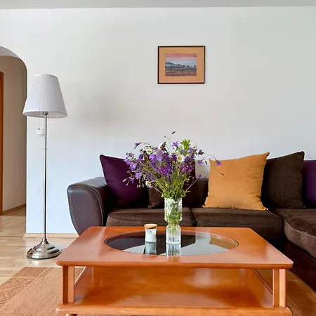 Znidar Apartment Spodnje Gorje