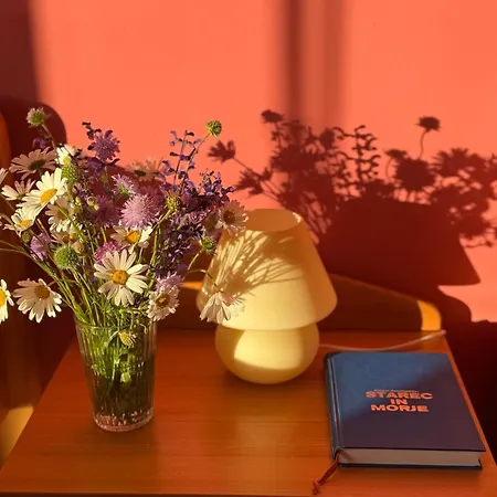 Znidar Spodnje Gorje