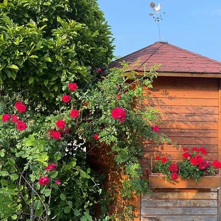 Znidar Spodnje Gorje