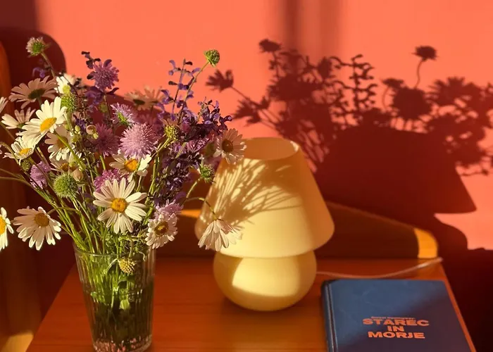 Znidar Spodnje Gorje