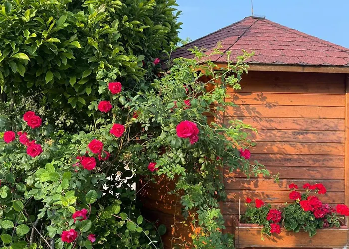 Znidar Spodnje Gorje